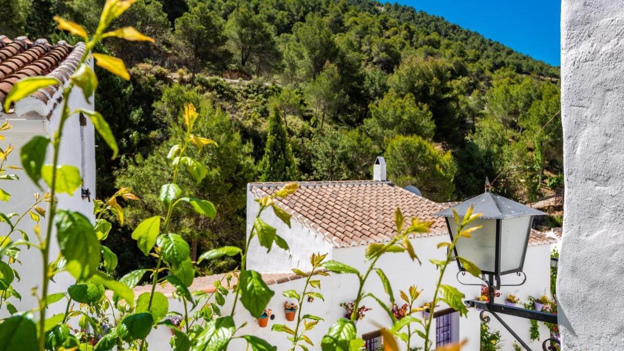 Casa Alhama Frigiliana By Ruralidaysヴィラ エクステリア 写真